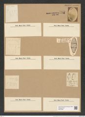Anaulus mediterraneus Grun. (de-Toni-Nr.: Genus 127, Species 3555) Zeichnungen Sammlung Grunow Nr. 7035 (NHMW-BOT-W0375962)